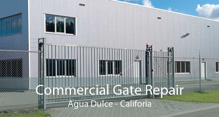 Commercial Gate Repair Agua Dulce - Califoria