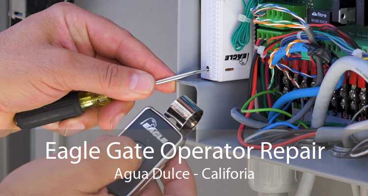 Eagle Gate Operator Repair Agua Dulce - Califoria