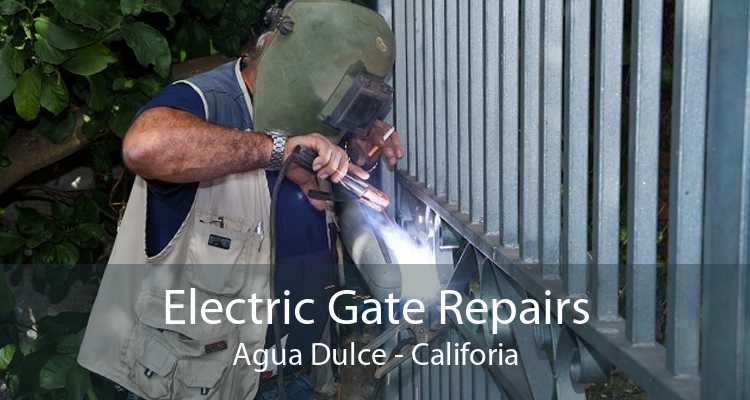 Electric Gate Repairs Agua Dulce - Califoria
