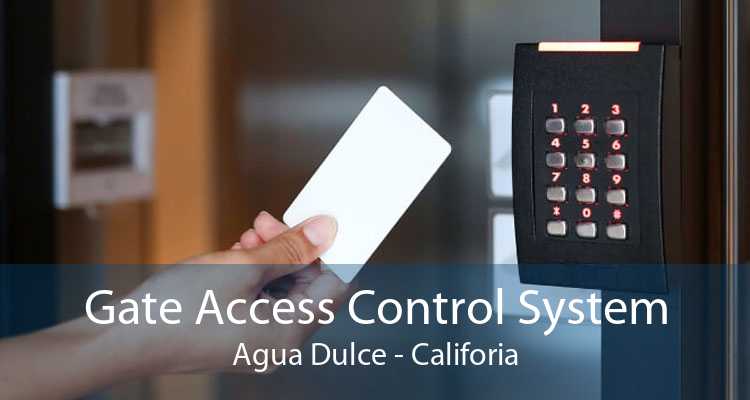 Gate Access Control System Agua Dulce - Califoria