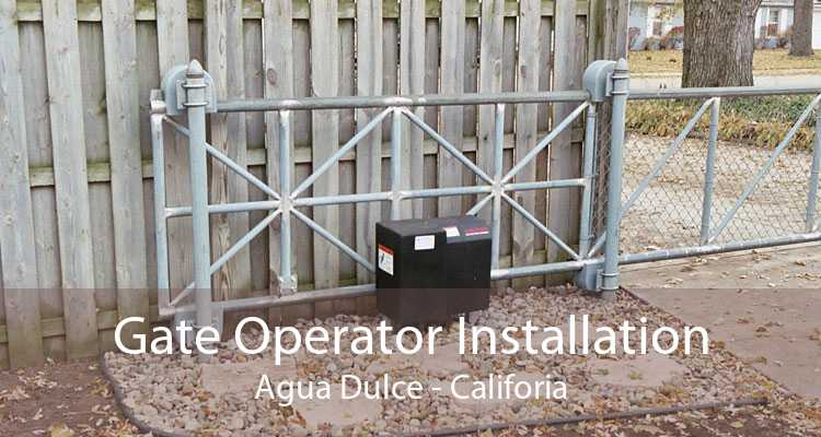 Gate Operator Installation Agua Dulce - Califoria
