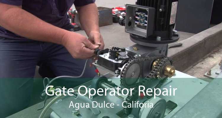Gate Operator Repair Agua Dulce - Califoria