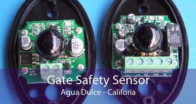 Gate Safety Sensor Agua Dulce - Califoria
