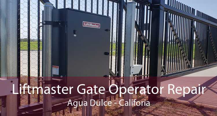 Liftmaster Gate Operator Repair Agua Dulce - Califoria