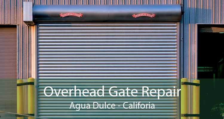 Overhead Gate Repair Agua Dulce - Califoria