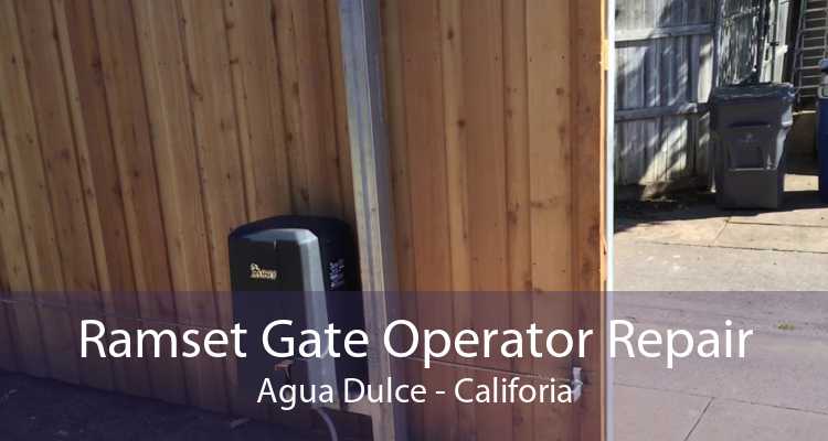 Ramset Gate Operator Repair Agua Dulce - Califoria