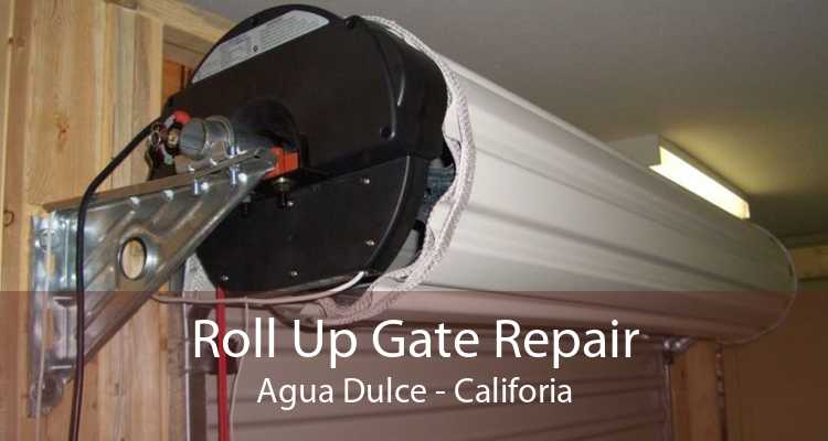 Roll Up Gate Repair Agua Dulce - Califoria